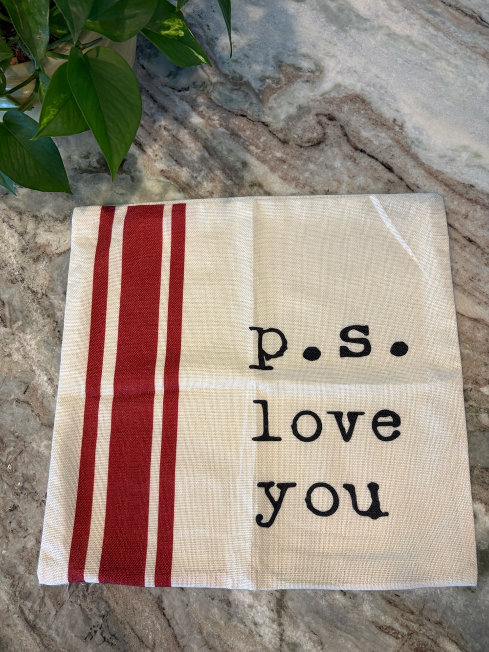 Two 18x18 Valentine’s Day Pillow Covers